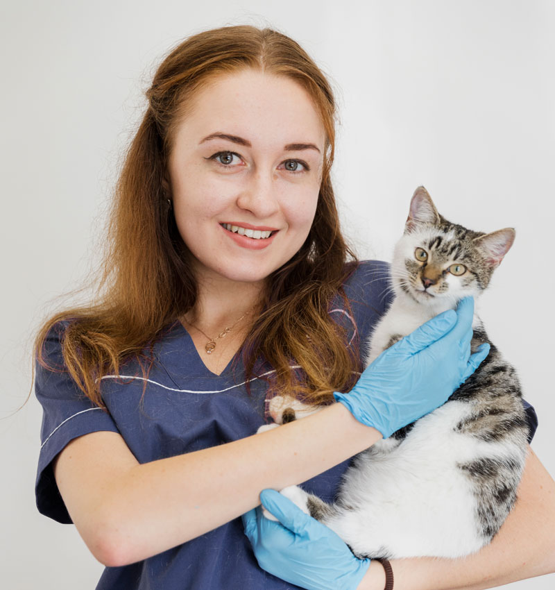 A woman holding a cat wearing blue gloves.